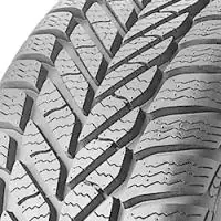 Bestseller Winterreifen Debica Frigo 2 (205/55 R16 91T)