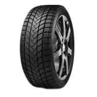 1xWinterreifen DELINTE Wd6 195/55R16 87H – DEL-32076 Expressversand